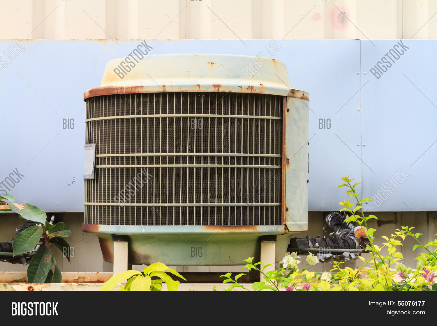 Image Preview