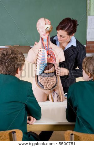 Aula de biologia