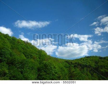 Berg