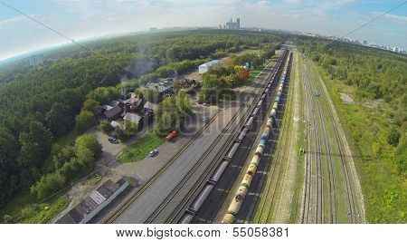 Trains on railway among forest at sunny day. View from unmanned quadrocopter.