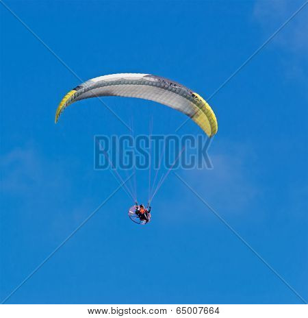 Black And Yellow Glider