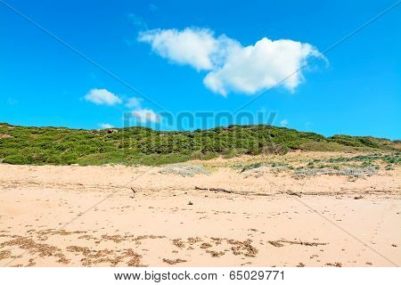 Clouds And Sand