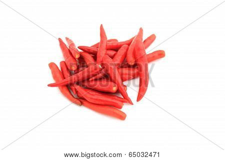 chili peppers isolated