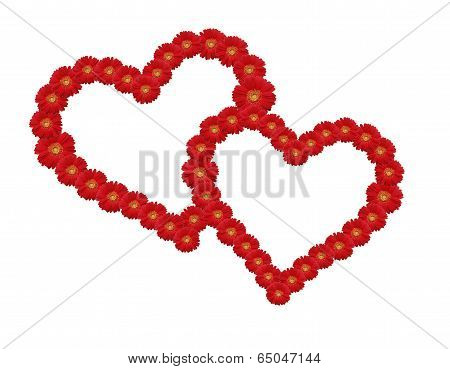 heart of flowers