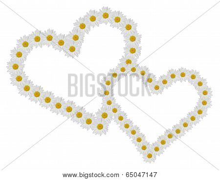heart of flowers