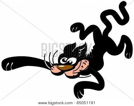 Black cat falling down