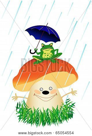 Frog On Mushroom