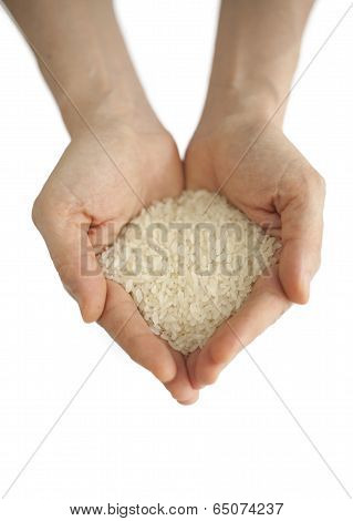 rice