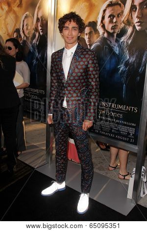 LOS ANGELES - AUG 12:  Robert Sheehan at the 