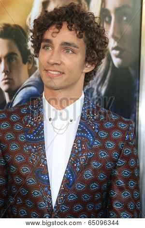 LOS ANGELES - AUG 12:  Robert Sheehan at the 