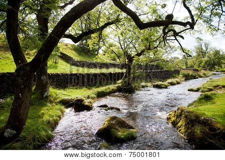 Beautiful landscape in Yorkshire Dales National Park in England