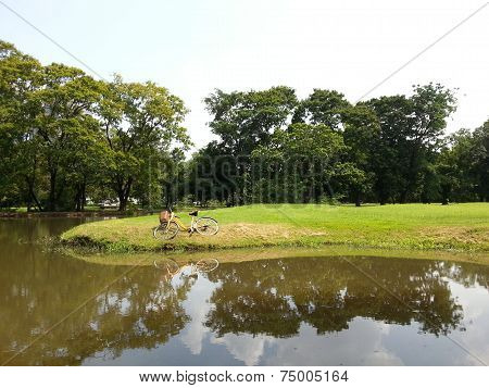 Bicycle in park