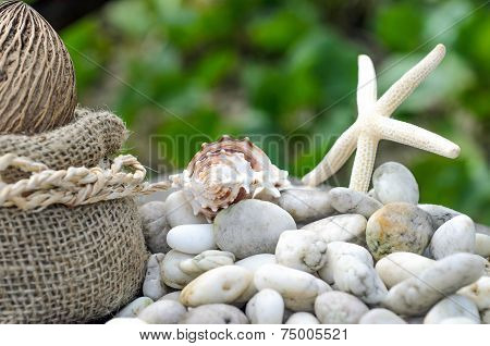 Memories From The Sea For Postcard Or Poster