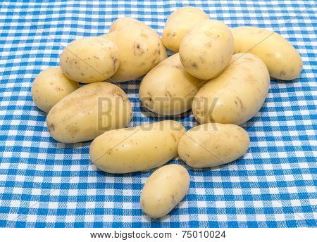 Baby potato