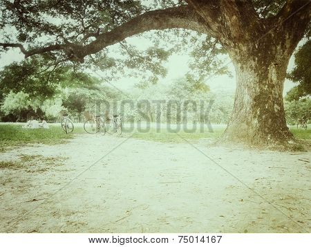 Bicycle in park plus effects