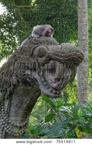 crab-eating macaque or long-tailed macaque or macaca fascicularis on dragon statue
