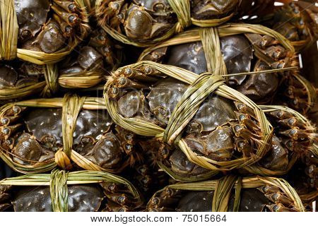 Chinese hairy crabs