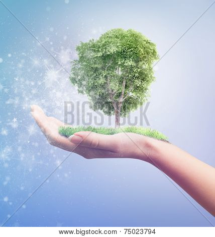 Eco Concept. Magic Hand Of Nature Holding Tree.