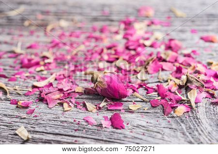 Dry rose buds on rustic wooden table