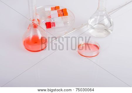 Plastic dish on biomedical scientific laboratory.