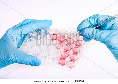 Scientist holding samples of cells