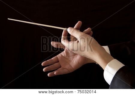Orchestra conductor hands baton. Music male director holding stick