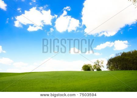 Paesaggio rurale