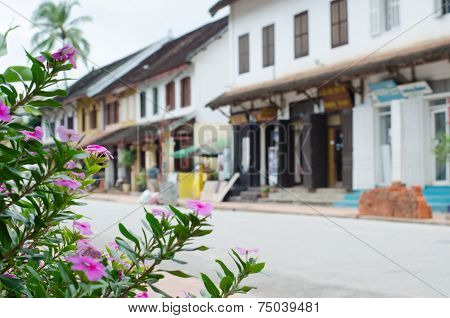 Luang Prabang  Town