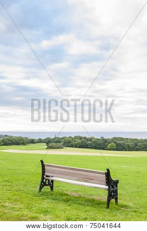 Bench In The Park