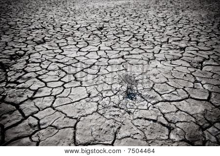 Cracking suolo del deserto