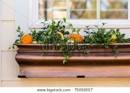 Halloween Decor