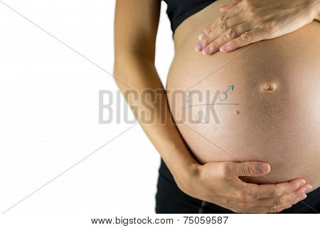 Pregnant Mother With Hand Drawn Male And Female Gender Signs On A Seesaw