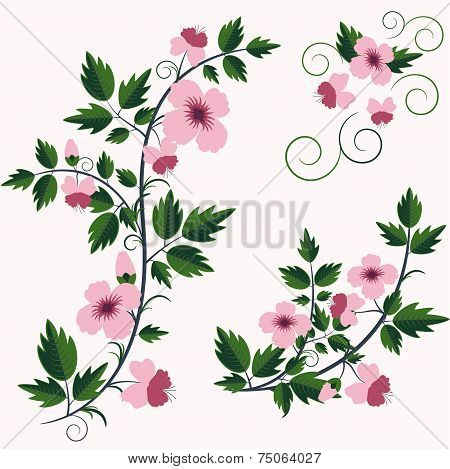 Vector retro floral background with flowers