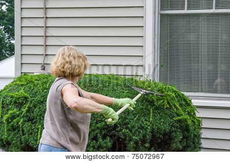 Woman Working Outdoors