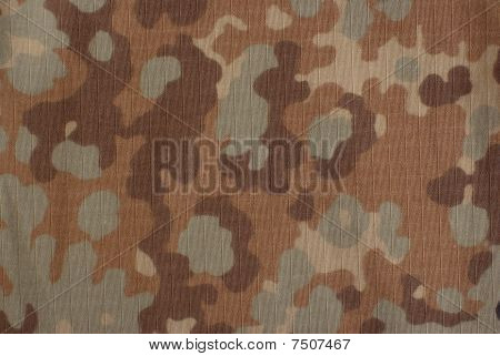 Camouflage autunnale