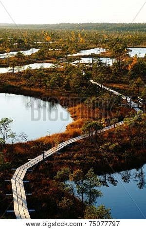 Marsh