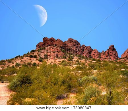 Desert Moon