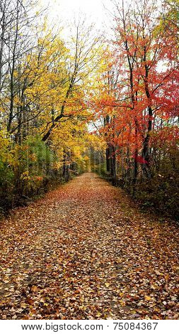Bike trail with autumn colors