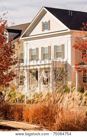 Halloween Decor