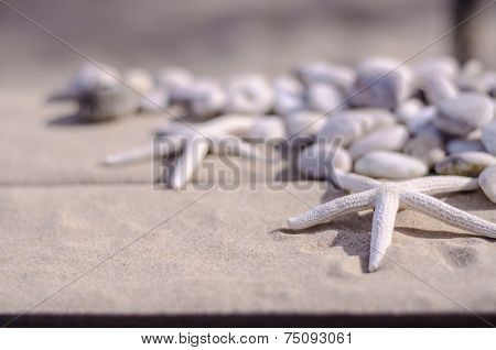 View Of  Starfishs And White Stone On Sand Background