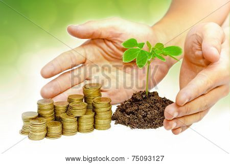 business with csr