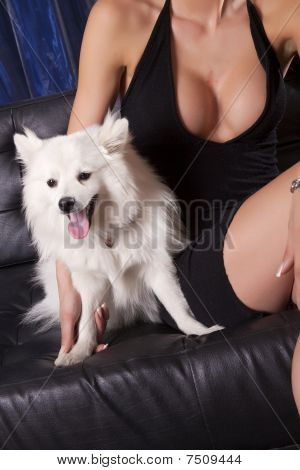 Sexy žena v černém Dres a bílého psa na gauči