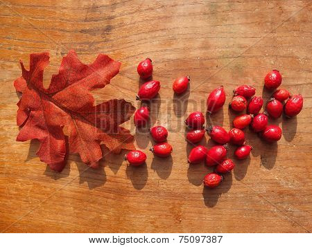 Autumn still life.