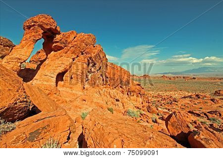Elephant Rock