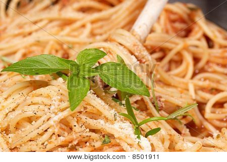Spagetti
