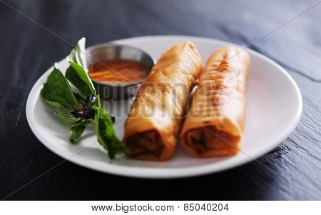twp crispy Vietnamese spring rolls on plate with dip and garnish