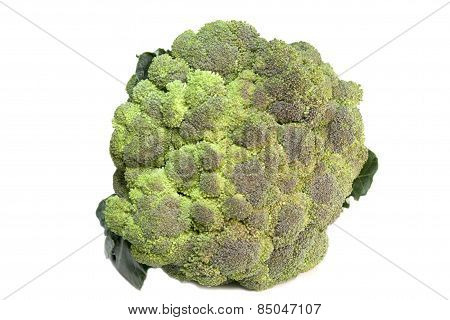 Brussels Cabbage