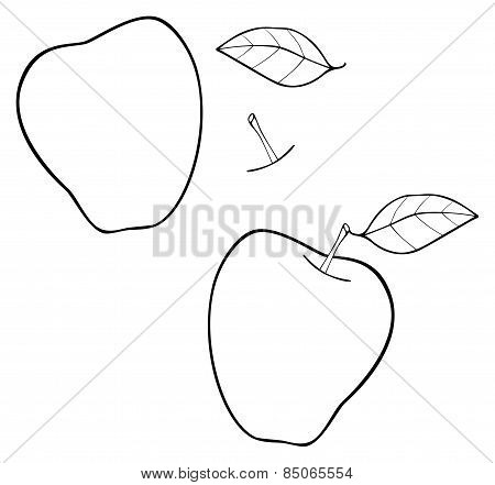 Delightful Garden - Elaborate Construct Apple With A Leaf