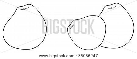 Delightful Garden - One And Two Pear-shaped Apples