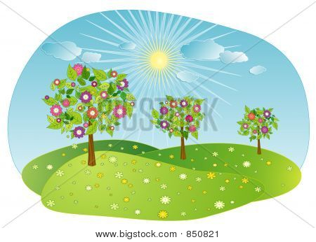 summer_tree
